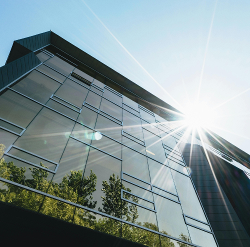 Glass office building reflecting trees with bright sun flare